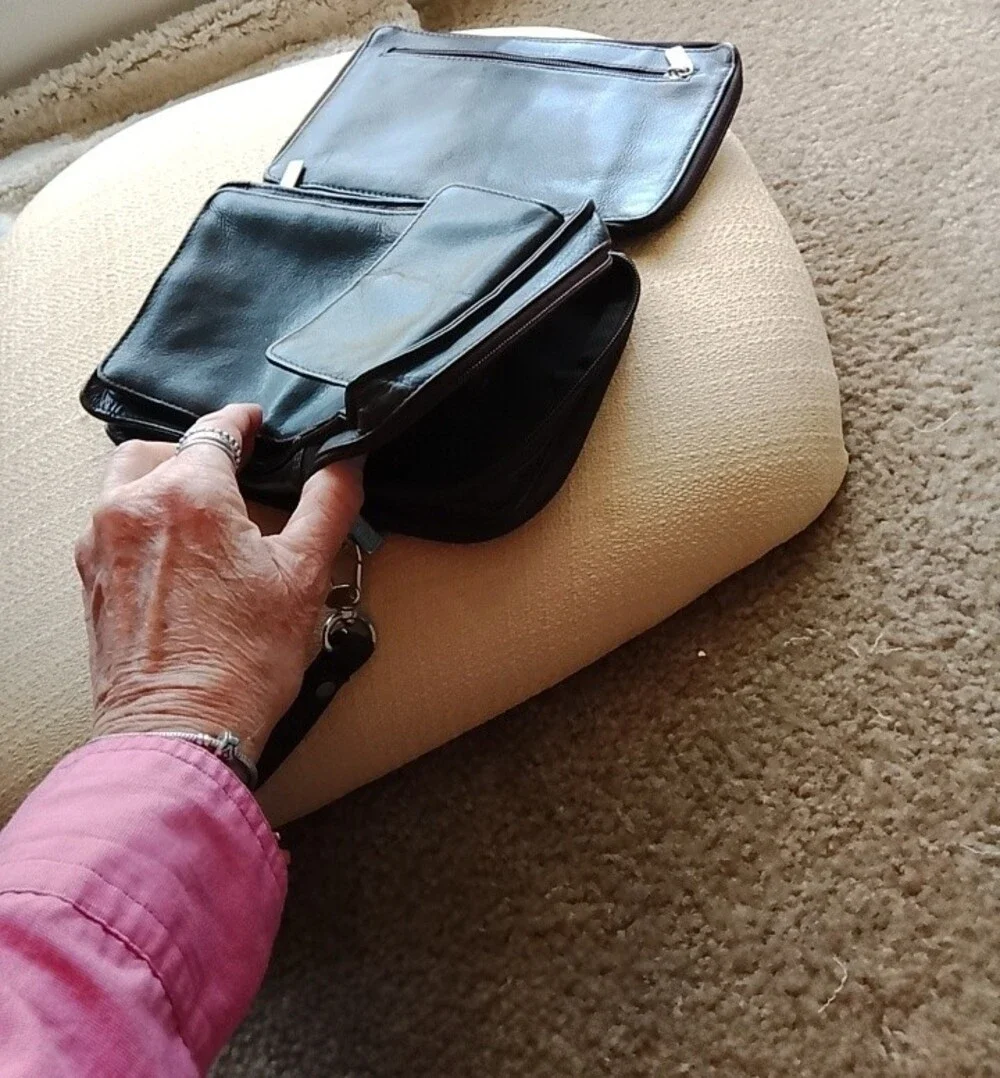 Wilson's Leather Wrist Crossbody Organizer Bag - Black